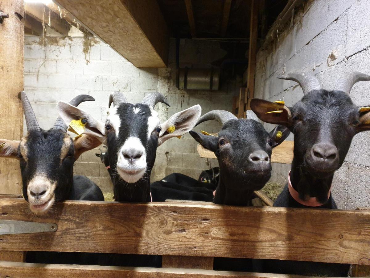 Chambre D'Hotes A La Ferme Beaune  Екстер'єр фото